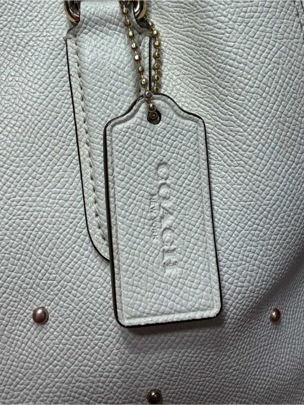 Coach Celestial 2017 Rare Highly Collectible Stardust Margot Carryall